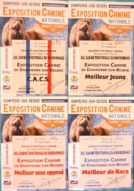 Du Petit Faubourg - CARTON PLEIN A L'EXPO NATIONALE DE DOMPIERRE SUR BESBRE !!!