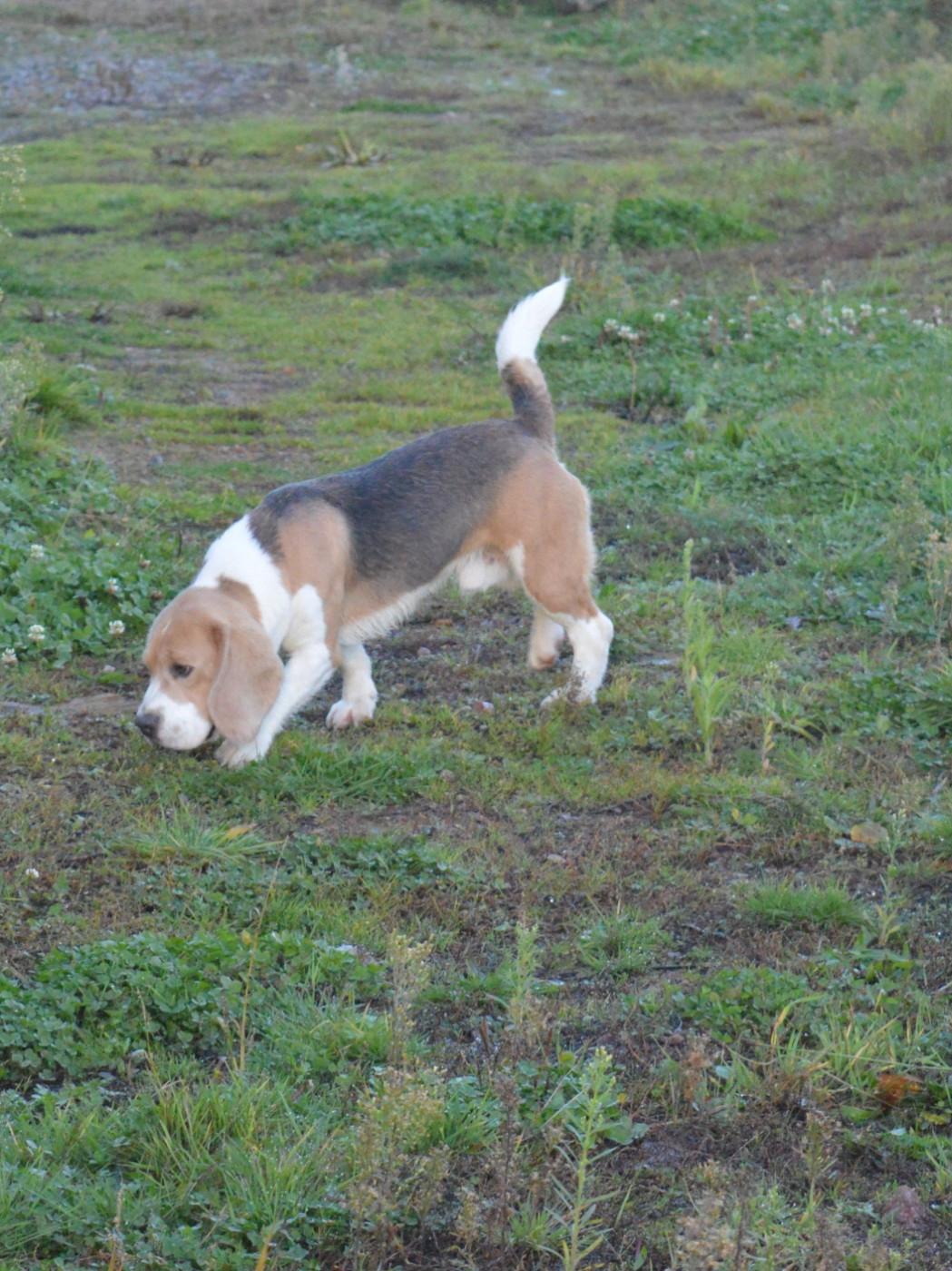 Vainqueur De La Côte Chantreux