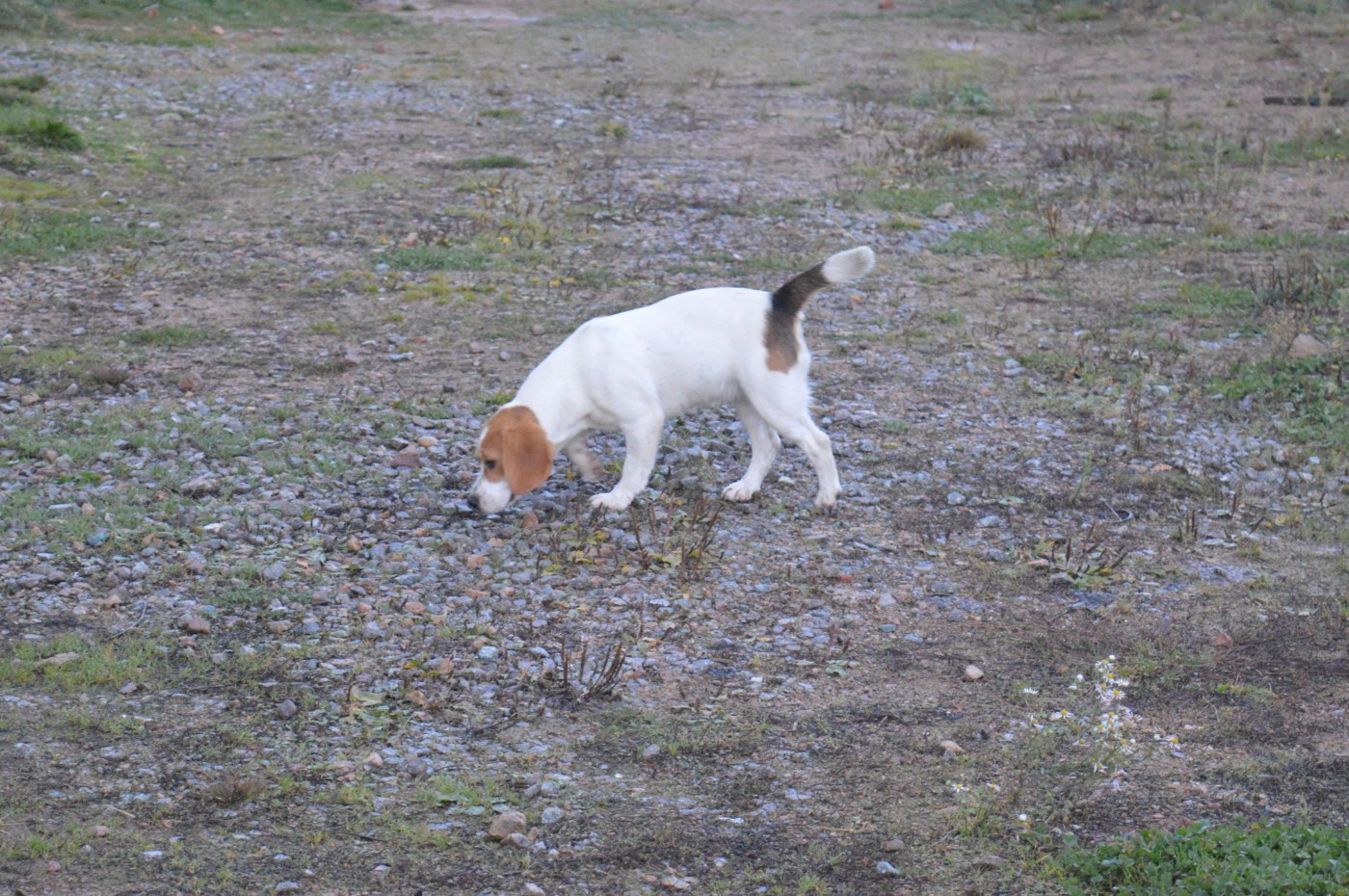 Volga Des Terres Célestines