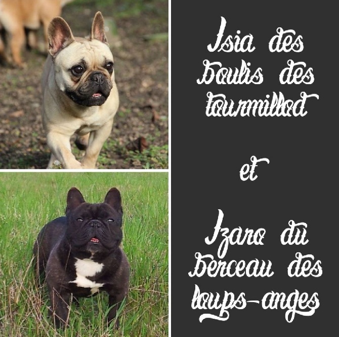 Du Petit Faubourg - Gestation confirmée !!!!!