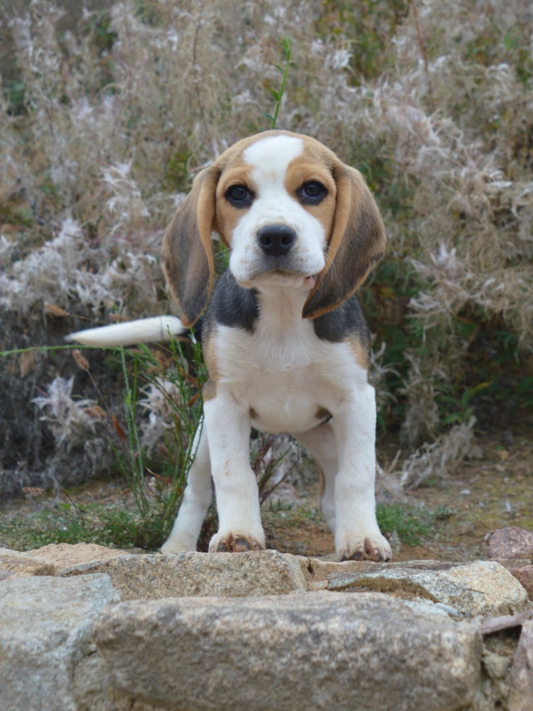 3 mois aujourd'hui pour les bébés