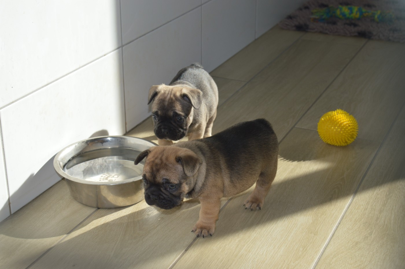 Les photos sont en ligne !