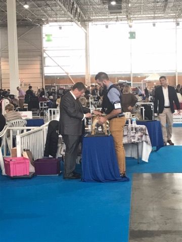 Du Petit Faubourg - Résultats d'expo...