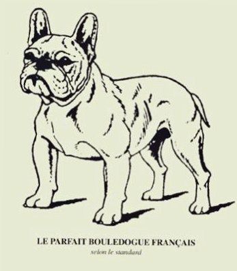 Du Petit Faubourg - Le standard du bouledogue change...