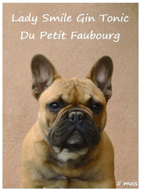 Du Petit Faubourg - Bientôt de nouveaux bébés à l'élevage...